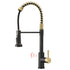 Noah Golden Kitchen Faucet - Black/Gold - Faucet