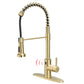 Noah Golden Kitchen Faucet - Gold - Faucet