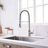 Noah Golden Kitchen Faucet - Silver - Faucet