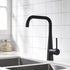 Nora Black Kitchen Faucet - Black - Faucet
