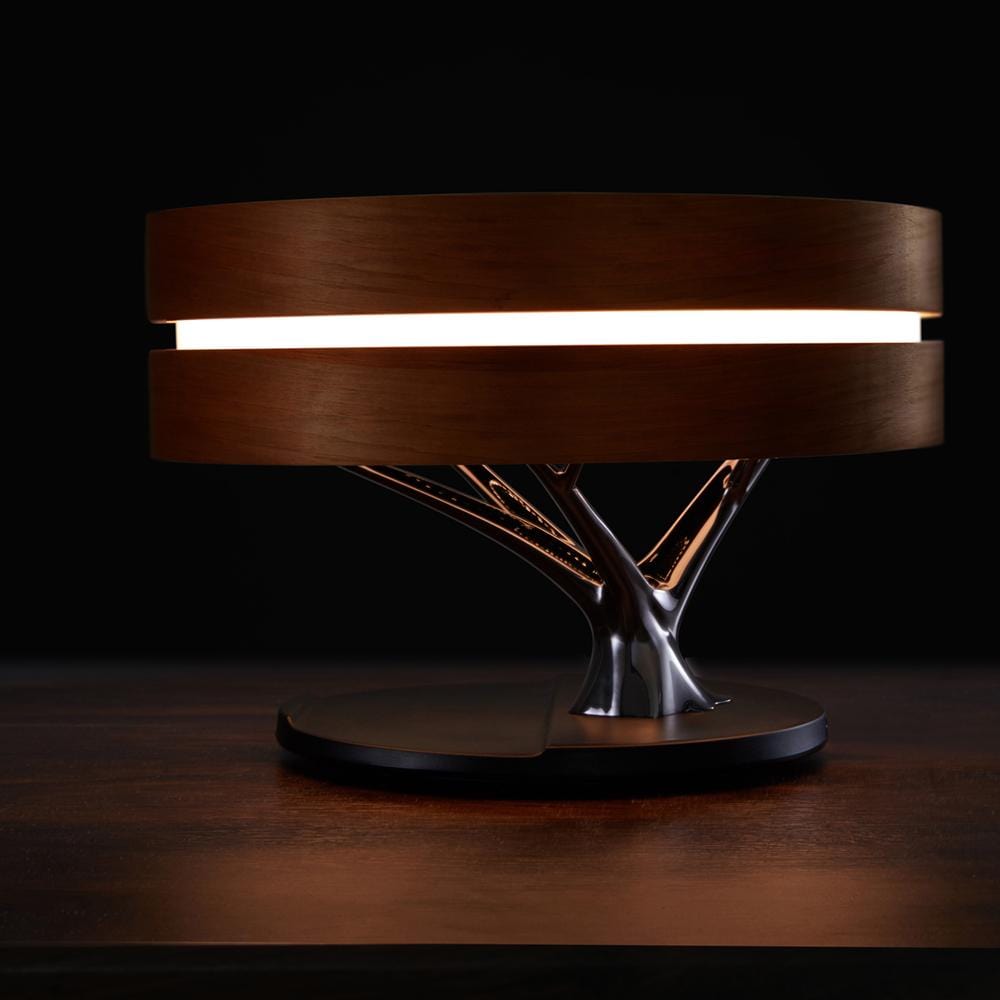 Oval Wonder Luxury Desk Lamp - Table Lamp