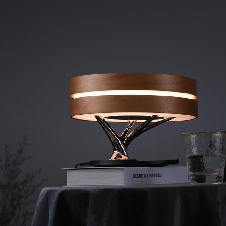 Oval Wonder Luxury Desk Lamp - USA - Table Lamp