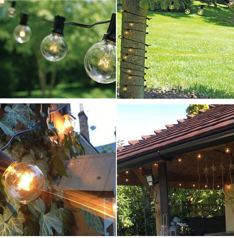 Robin - Outdoor Bulb String Light - Outdoor Light