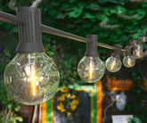 Robin - Outdoor Bulb String Light - Outdoor Light