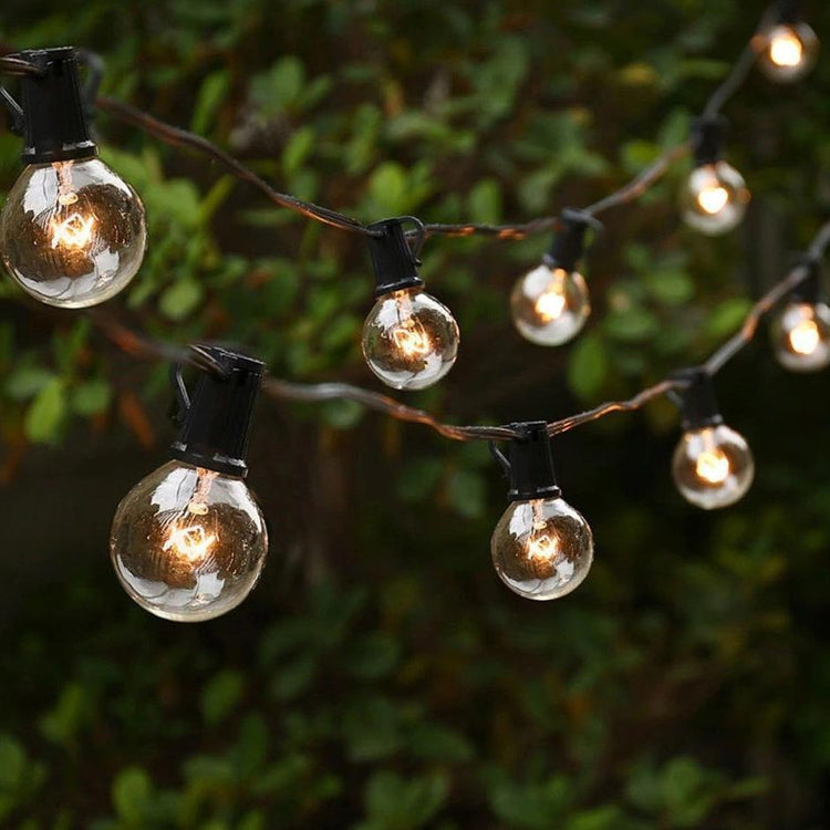 Robin - Outdoor Bulb String Light - Outdoor Light