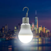 Solar LED Light Bulb for Outdoor - Solar Light