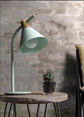 Toula - Stylish Sleek Desk Lamp - Green - Table Lamp