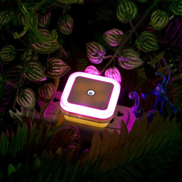 Wall mounted LED Night light - Pink / EU - Wall Light